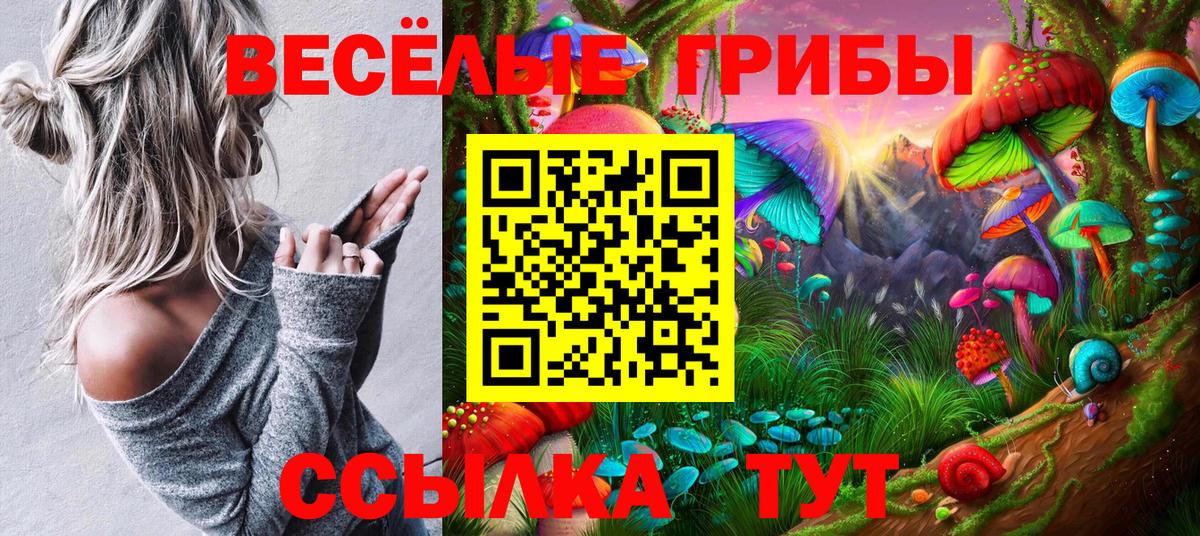 дарнет шоп  Галлюциногенные грибы GOLDEN TEACHER  Вход с VPN  Галлюциногенные грибы Psilocybe  Реж 
